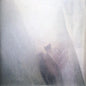 Wild Palms:   - Sun Airway [VINYL]