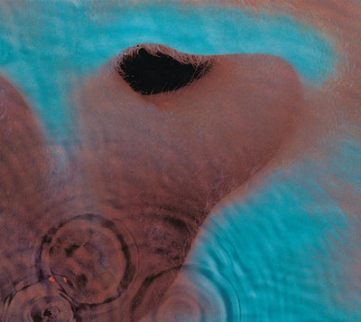 Meddle - Pink Floyd [VINYL]