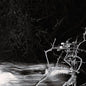Geiger Counter - Liar, Flower [VINYL]