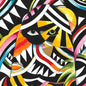 The Age of Oddities:   - Rutger Hoedemaekers [VINYL]