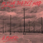 Flying Doesn't Help:   - Anthony Moore [VINYL]