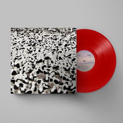 Flood - Stella Donnelly [VINYL Limited Edition]