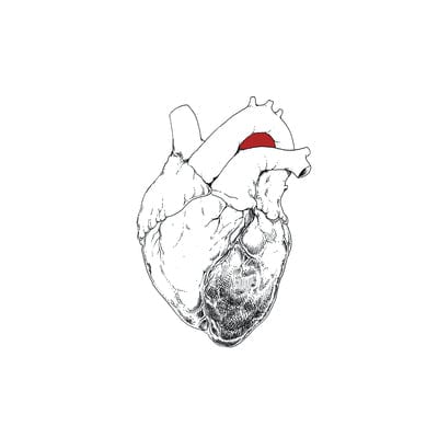 The Beggar - Swans [VINYL]
