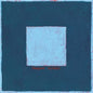 Skylight - Pinegrove [VINYL]