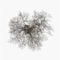 Tree - John Metcalfe [VINYL]