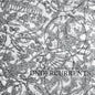 Undercurrents - Matthew Young [VINYL]