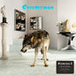 Grinderman 2 (Reissue) - Grinderman [VINYL]