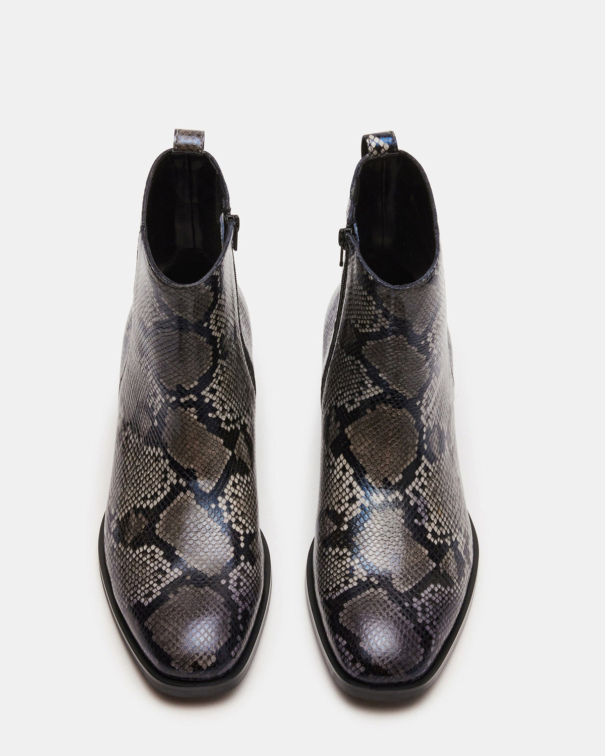 RICHIE GREY SNAKE