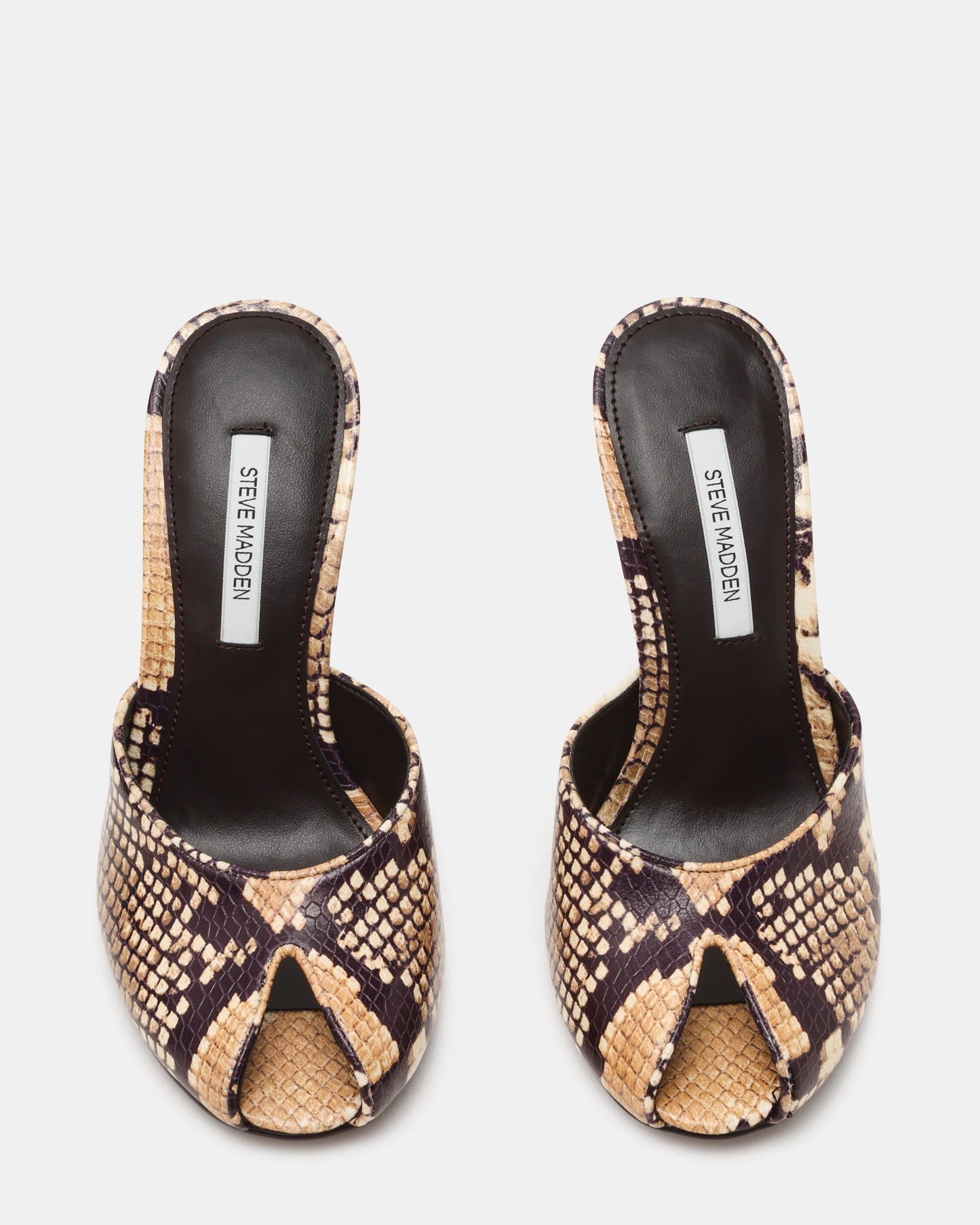 JULES SNAKE