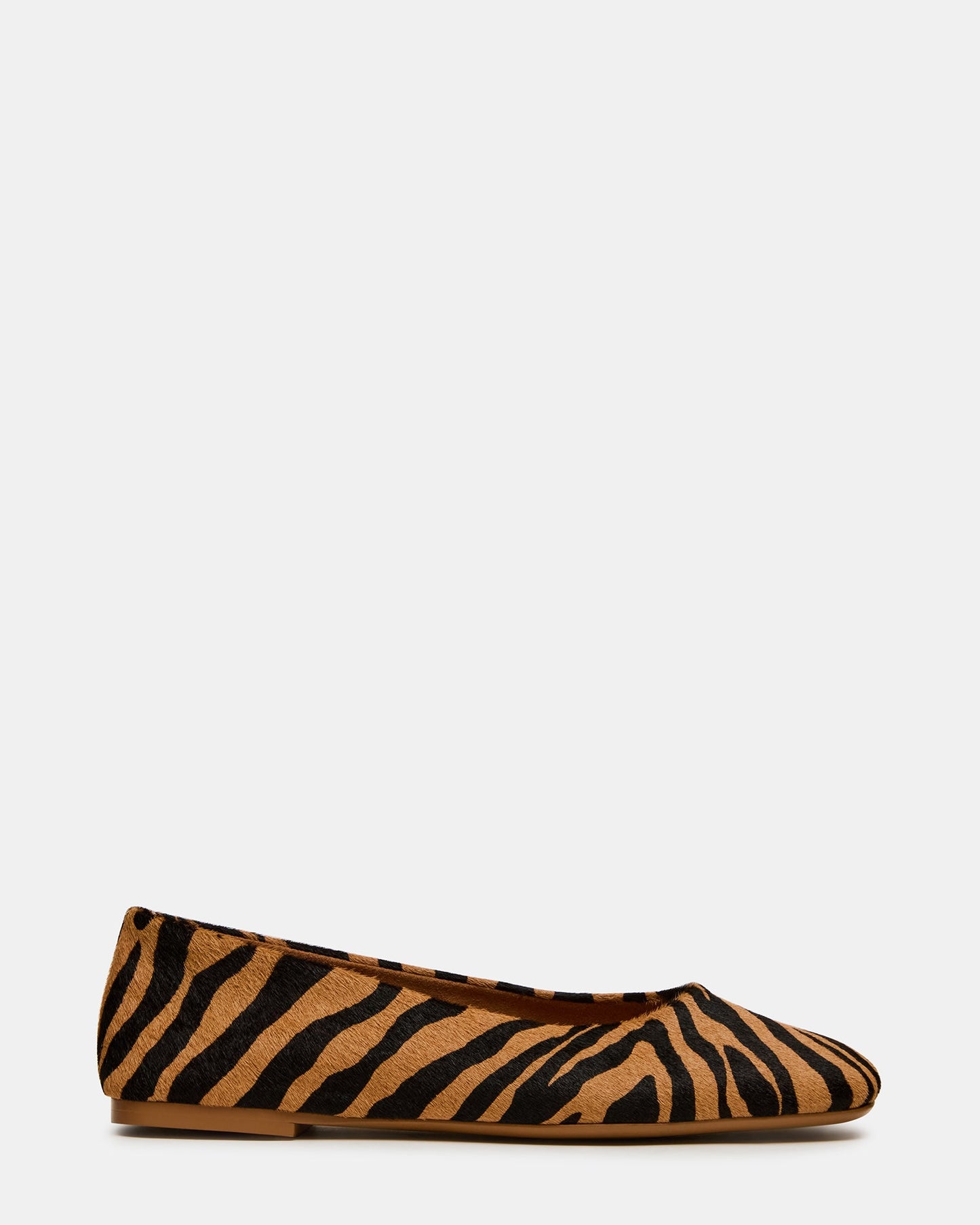 NURTURE ZEBRA