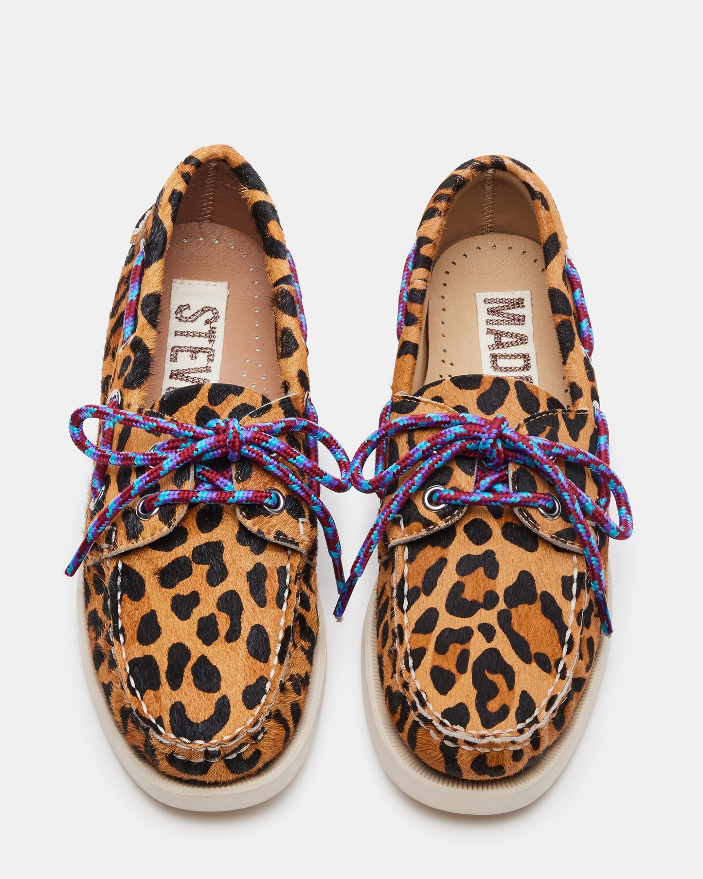 SAIL LEOPARD