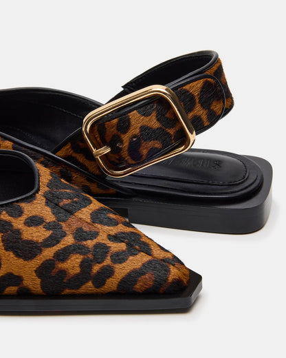SHAY LEOPARD