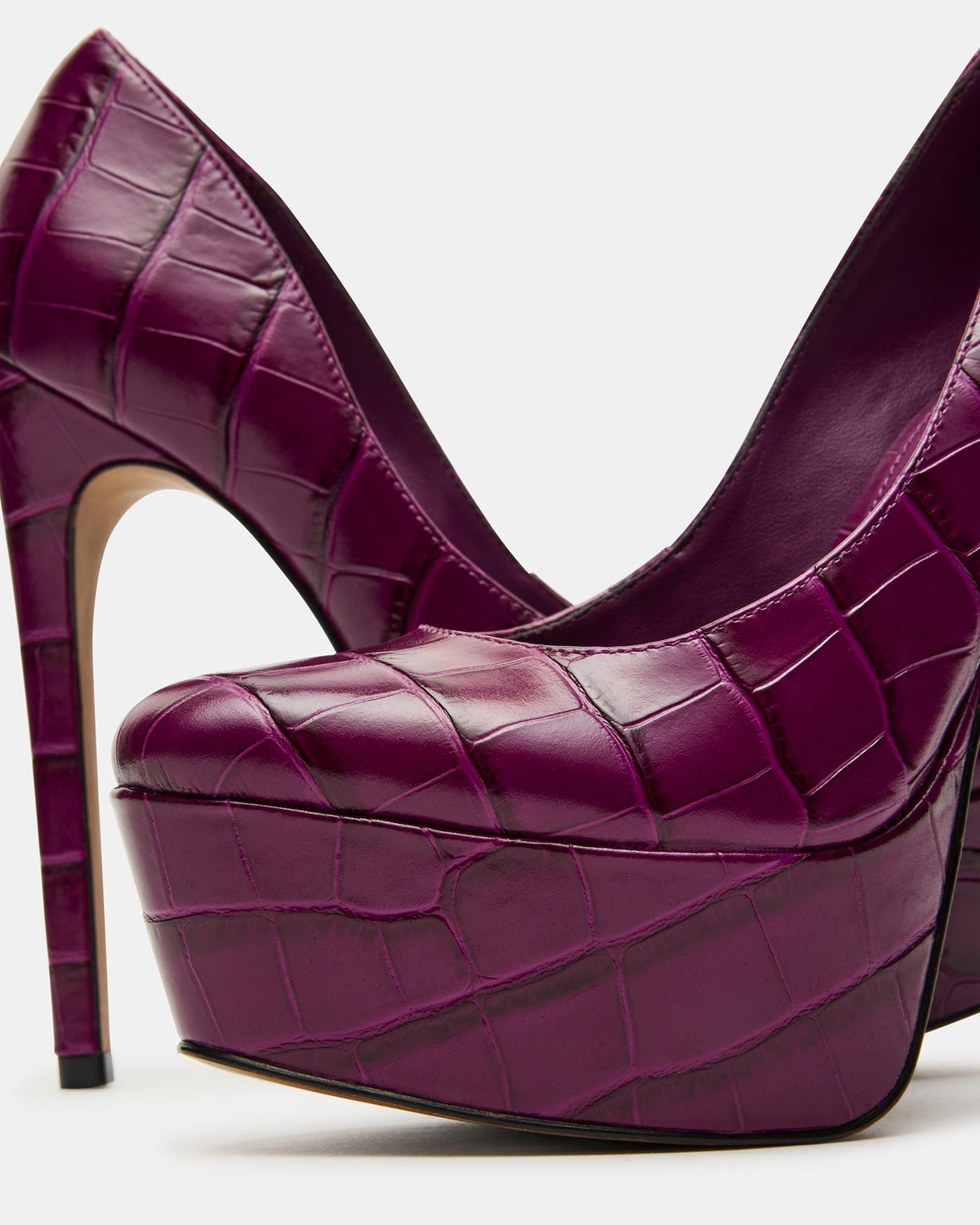 SILENE PURPLE CROCODILE