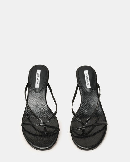 TERRY BLACK SNAKE