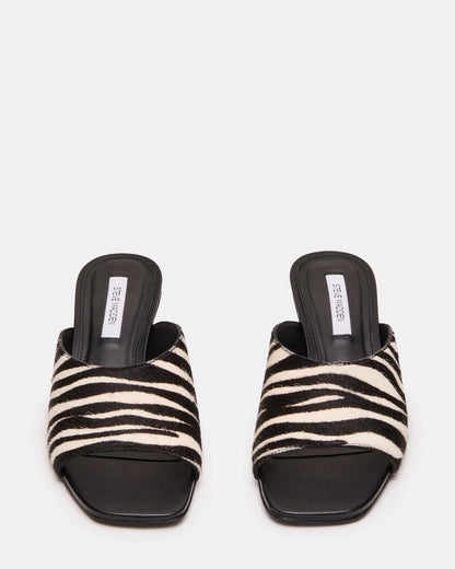 TRINA ZEBRA