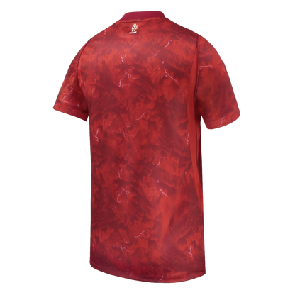 Nike Poland 2026 Away Jersey