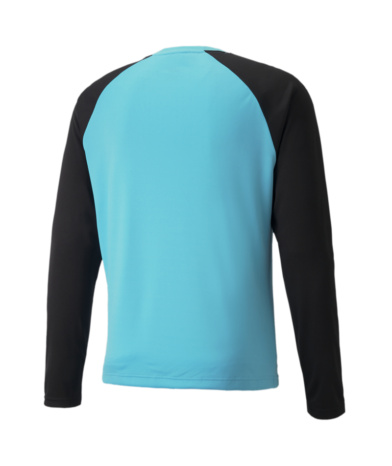 Puma Youth Team Pacer Goalkeeper Jersey - Blue