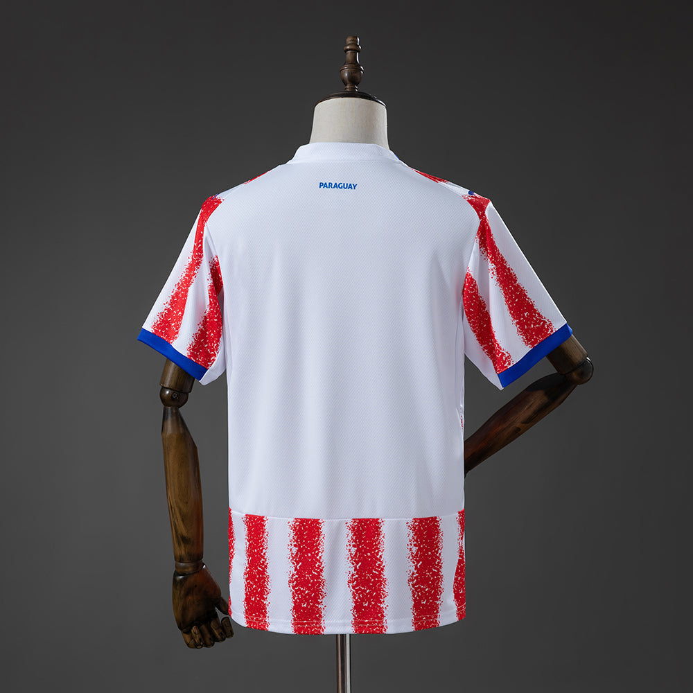 Paraguay Away Jersey 2026 World Cup Football Kit Soccer Jersey