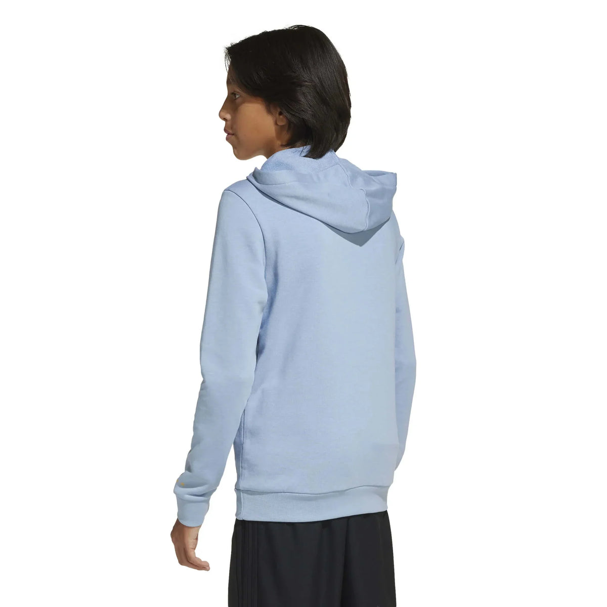 adidas 2025 Argentina Youth Anniversary DNA Hoodie