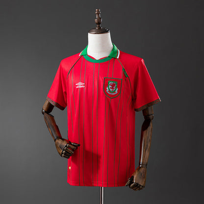 Wales Jersey 1994 Home Retro Football Kit