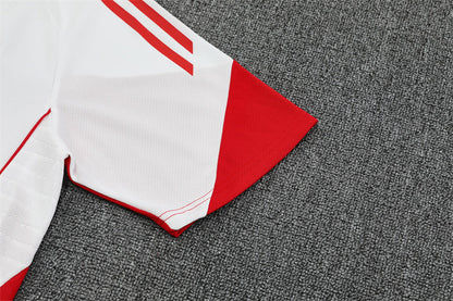 Ajax Training Tracksuits 25/26 Football Kit Soccer Jersey