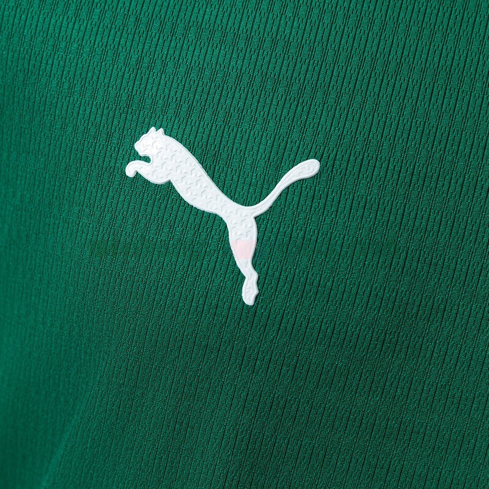 Player Version Palmeiras Home Jersey 2026/27 Football Kit Soccer Shirt
