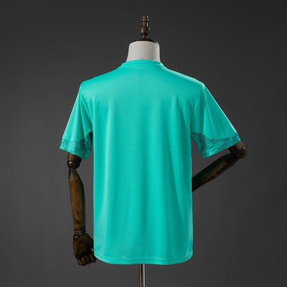 Palmeiras Training Jersey 2026-2027 Football Kit Soccer Shirt