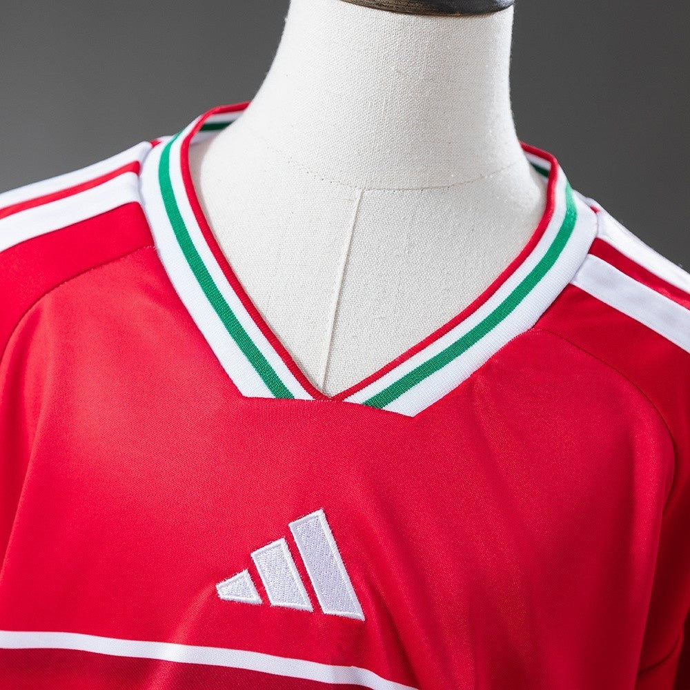 Kids Wales Jersey 2026 World Cup Home Football Kit