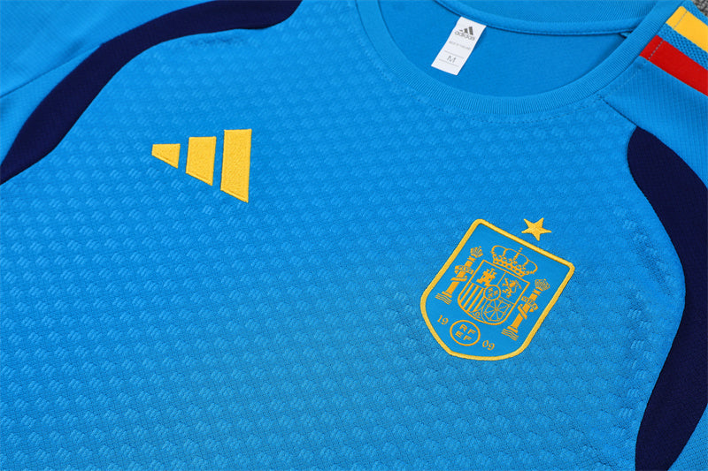 Spain Training Tracksuits 2026 Football Kit Soccer Shirt