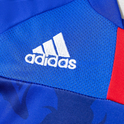 Japan Jersey 2010 Home Retro Football Kit