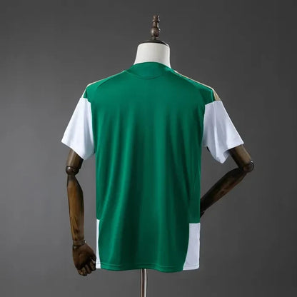 Italy Training Jersey 2026 World Cup Green Football Kit Soccer Jersey