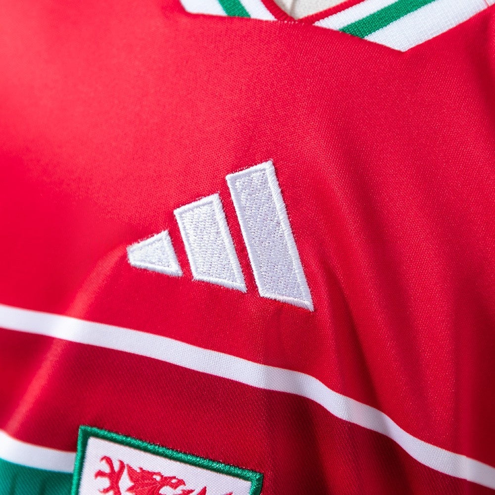 Kids Wales Jersey 2026 World Cup Home Football Kit