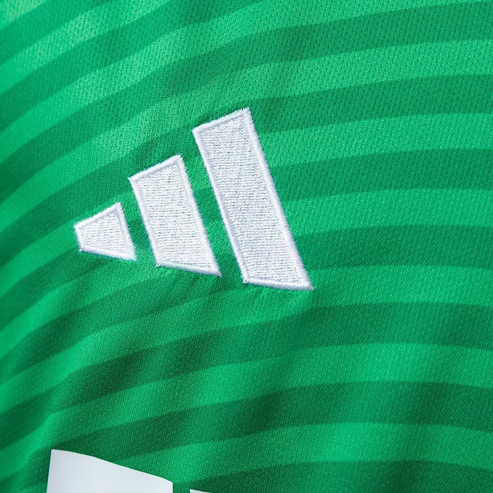 Newcastle United Jersey 25/26 Away Football Kit
