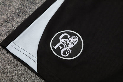 Chelsea Football Tracksuits 25/26 Football Kit Soccer Jersey