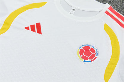 Colombia Training Tracksuits 2026 Football Kit Soccer Jersey