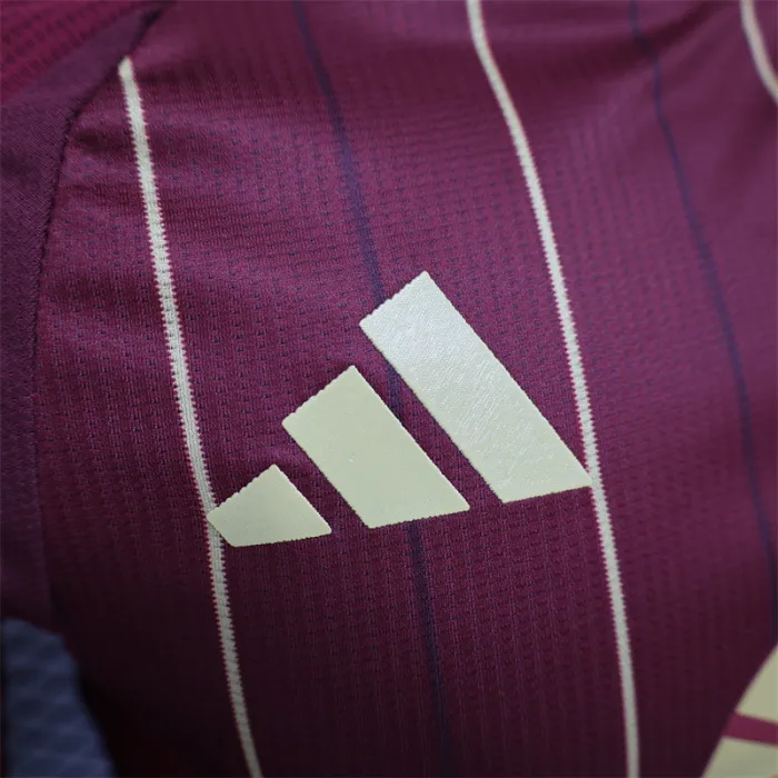 Player Version AS Roma Home Kit 24/25 Football Jersey