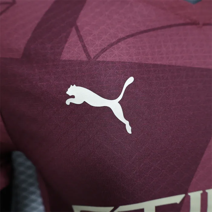 Player Version Manchester City Third Jersey 24/25 Football Kit