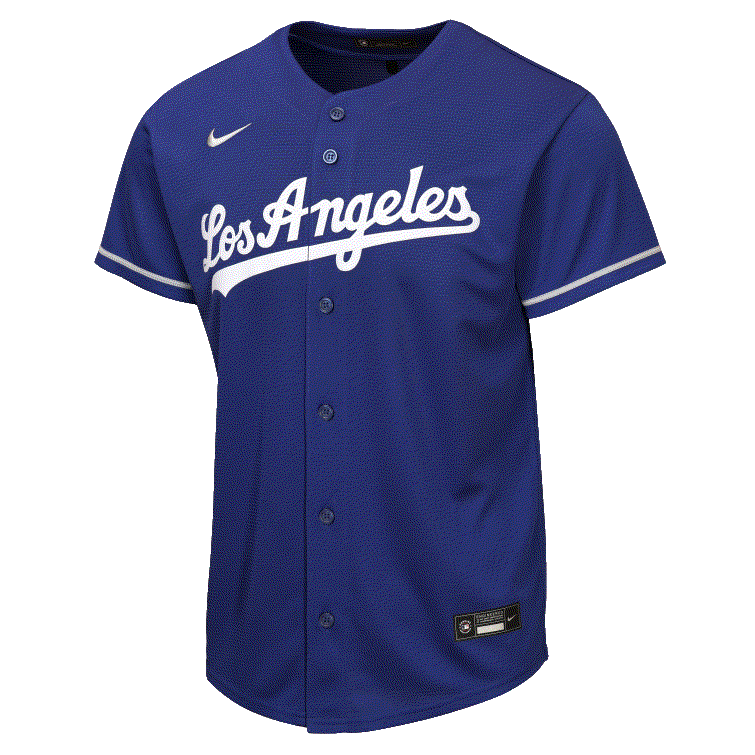 Nike Youth Los Angeles Dodgers Alternative Baseline Jersey-Royal