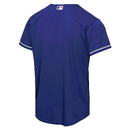 Nike Youth Los Angeles Dodgers Alternative Baseline Jersey-Royal