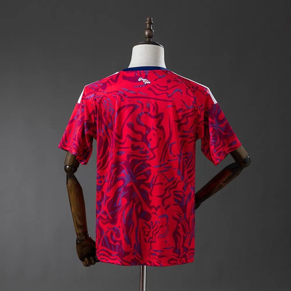 Costa Rica Jersey 2026 World Cup Home Football Kit
