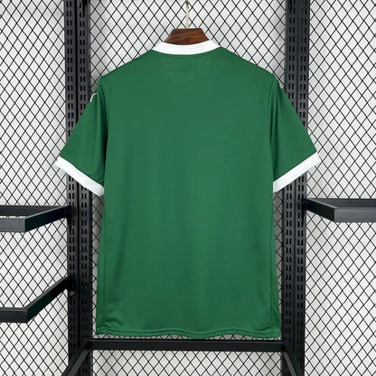 palmeiras jersey 25/26 home football kit soccer jersey